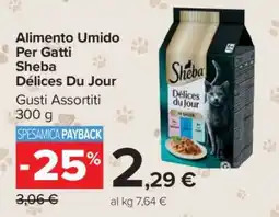 Carrefour ALIMENTO UMIDO PER GATTI SHEBA DÉLICES DU JOUR offerta