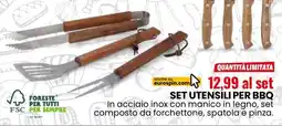 Eurospin Set utensili per BBQ offerta