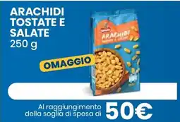 Eurospin Arachidi tostate e salate offerta