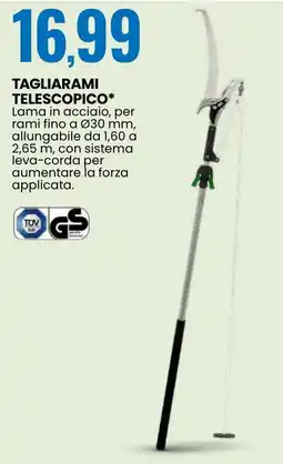 Eurospin Tagliarami telescopico offerta