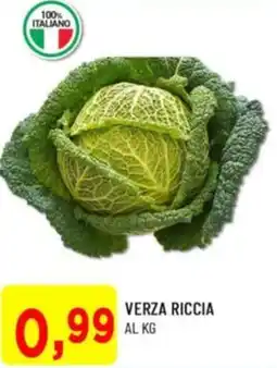 DPiù Verza riccia al kg offerta