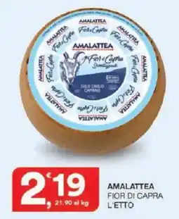 Sisa Amalattea fior di capra offerta