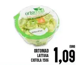 Al Discount Ortomad lattuga ciotola offerta
