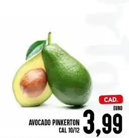 Al Discount Avocado pinkerton cal 10/12 offerta
