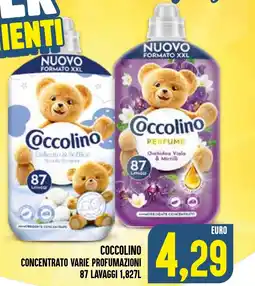 Al Discount Coccolino concentrato offerta