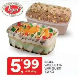 Sisa Sigel vaschetta offerta