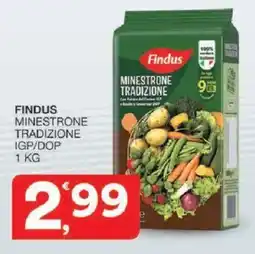 Sisa Findus minestrone tradizione igp/dop offerta