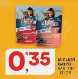 Sisa Miglior gatto offerta