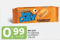 Sisa Mr day plumcake classico offerta
