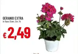 Galassia Geranio extra offerta
