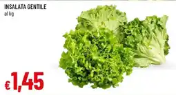 Galassia Insalata gentile offerta
