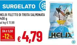 Galassia Helix filetto di trota salmonata offerta