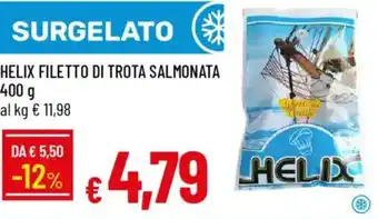 Galassia Helix filetto di trota salmonata offerta