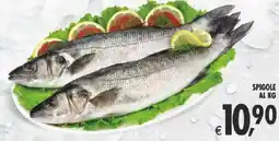 Deco Supermercati Spigole offerta