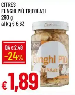 Galassia Citres funghi più trifolati offerta