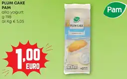 Pam Plum cake pam allo yogurt offerta