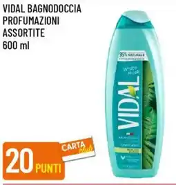 Galassia Vidal bagnodoccia offerta