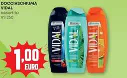 Pam Docciaschiuma VIDAL offerta