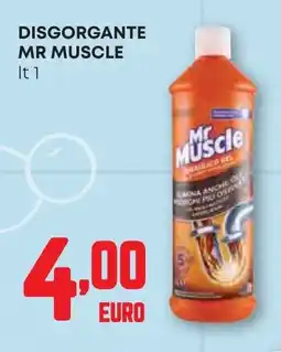 Pam Disgorgante MR MUSCLE offerta