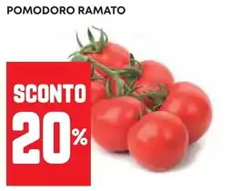 Pam Pomodoro ramato offerta