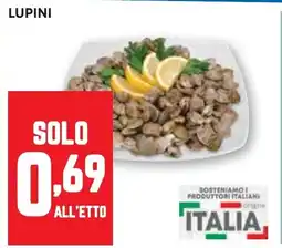 Pam Lupini offerta