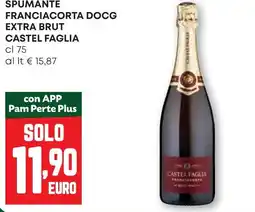 Pam Spumante franciacorta docg extra brut CASTEL FAGLIA offerta