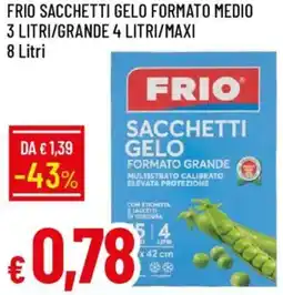 Galassia Frio sacchetti gelo formato medio 3 litri/grande 4 litri/maxi offerta