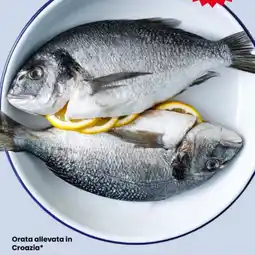 Eurospar Orata allevata in Croazia offerta