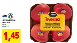 DPiù Melinda mela evelina offerta