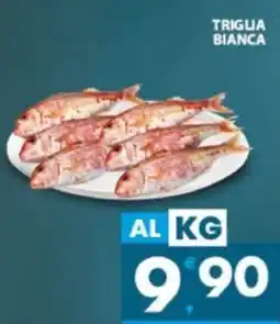 Eurospar Triglia bianca offerta