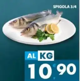 Eurospar Spigola 3/4 offerta