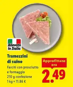 Lidl Tramezzini di suino offerta