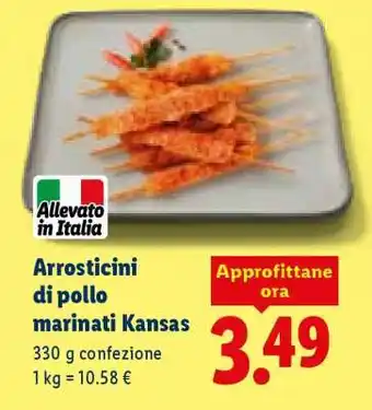 Lidl Arrosticini di pollo marinati Kansas offerta
