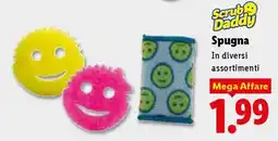 Lidl Scrub Daddy Spugna offerta
