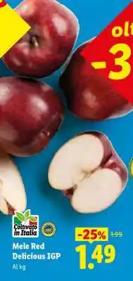 Lidl Mele Red Delicious IGP offerta