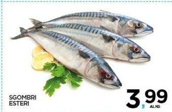 Interspar Sgombro offerta