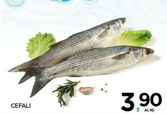 Interspar Pesce offerta