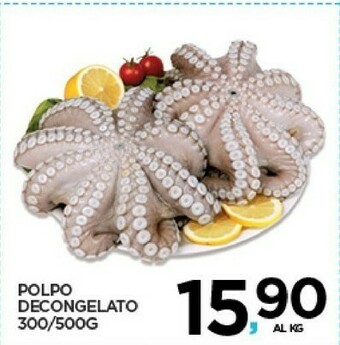 Interspar Polpo offerta