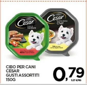 Interspar Cibo per cani offerta