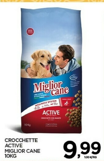 Interspar Cibo per cani offerta
