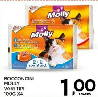 Interspar Cibo per gatti offerta
