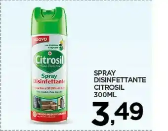 Interspar Disinfettante offerta