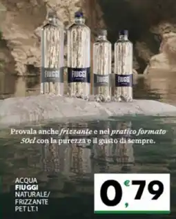 Eurospar Acqua fiuggi naturale/ frizzante pet offerta