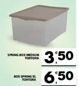 Eurospar Spring box medium tortora offerta