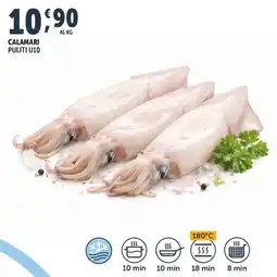 Deco Supermercati Calamari puliti u10 offerta