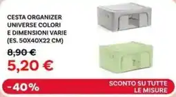 Max Factory Cesta organizer universe offerta