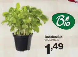 In'S Mercato Basilico Bio offerta