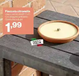 In'S Mercato Fiaccola citronella offerta