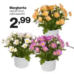 In'S Mercato Margherita offerta
