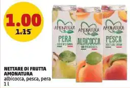 PENNY Nettare di frutta AMONATURA offerta